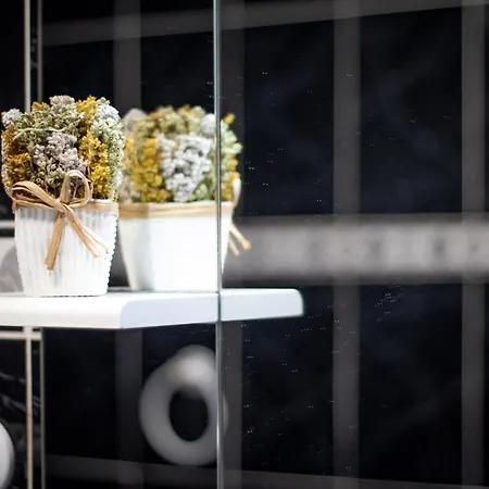 Apartmán Wonder House Feteiras